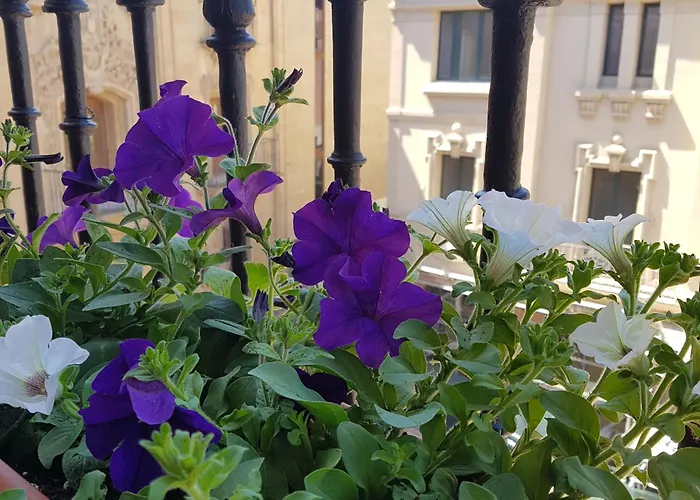 Pensión Entreviñas Logroño